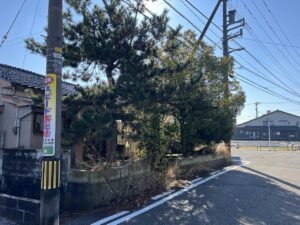 空き家の樹木管理