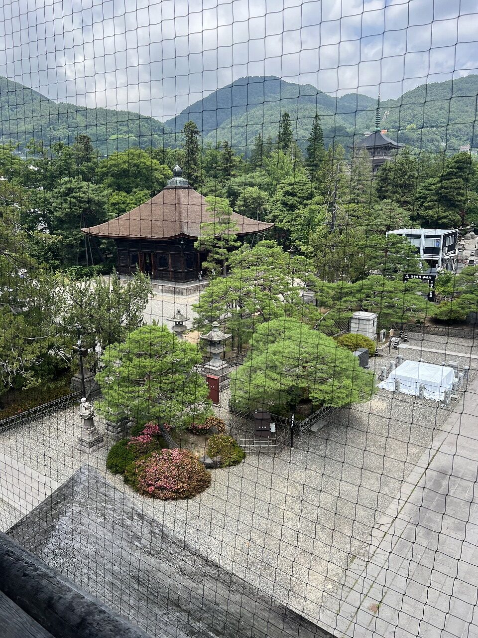 7月に入りました