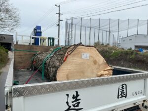 特殊伐採施工